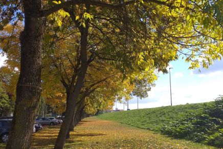 Edit Glavurtić: LISTOPADNI BLJESAK,&nbsp;ZATRAVLJENOST