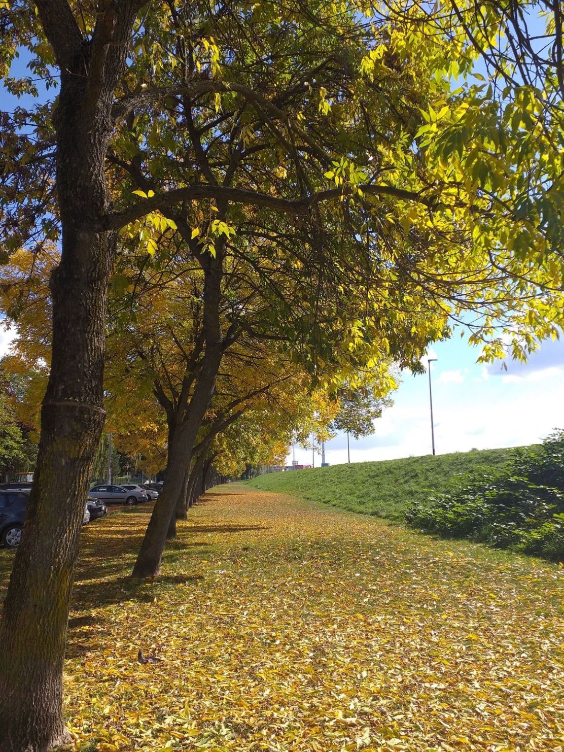 245257329_10226488009286828_1753143463204319302_n