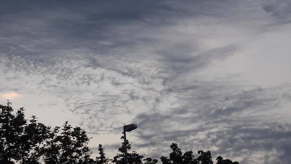 255069017_10226428605889708_2333995055958237967_n