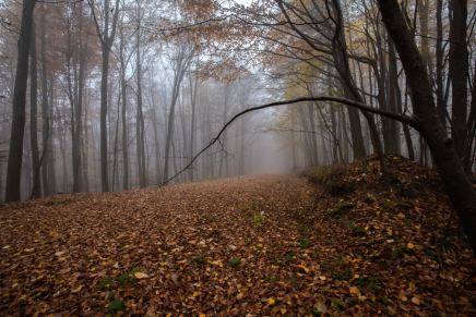 Božica Jelušić: ODMAGLJIVANJE U&nbsp;GORI