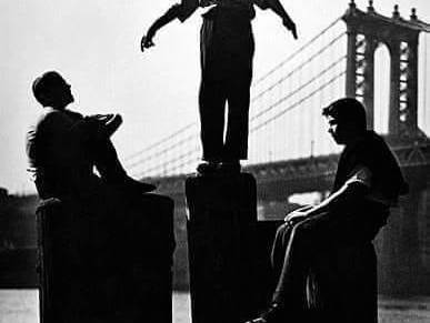 Marija Štrajh: ZAJEDNICA