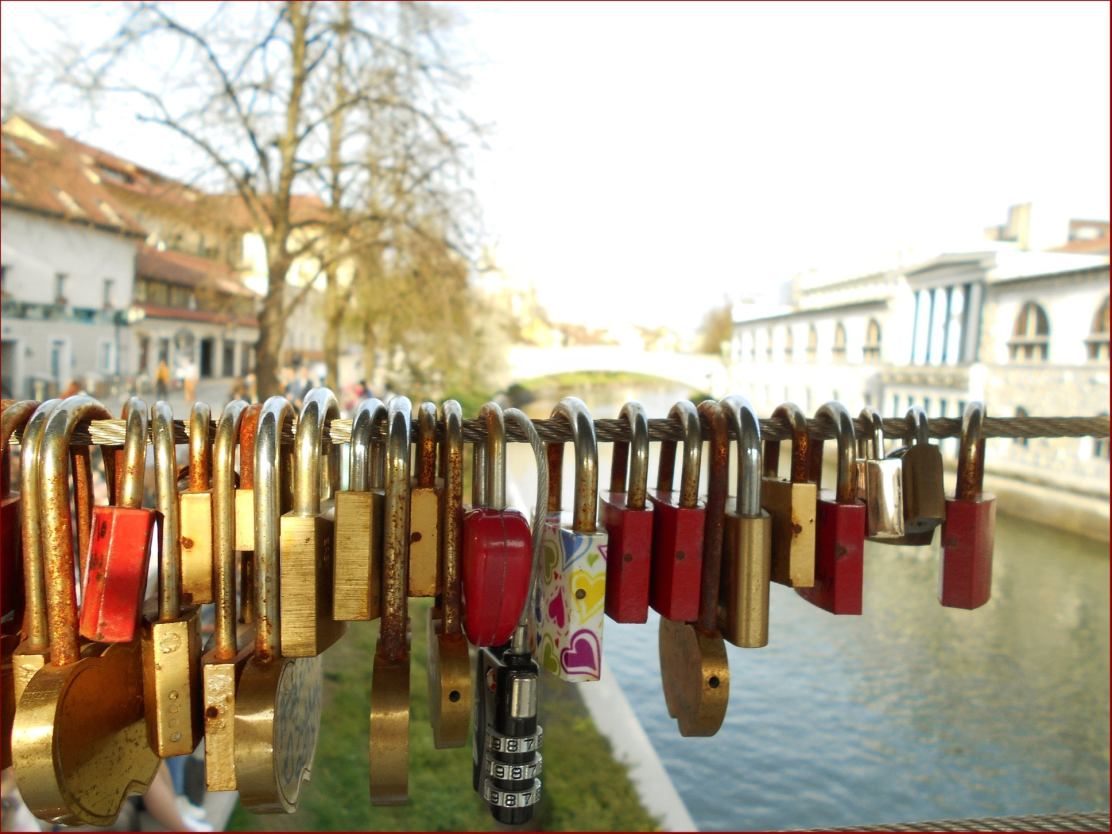 264512301_10216972438981874_2306577536315624412_n