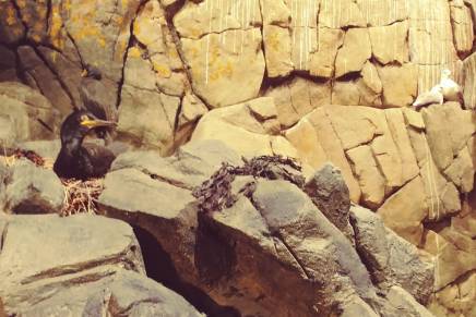 Vida Nenadić: PROSUTI ODJECI&nbsp;VREMENA