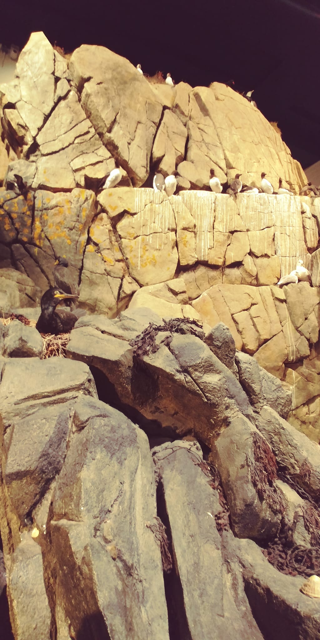 266110875_10159779934633624_5879942113669880108_n