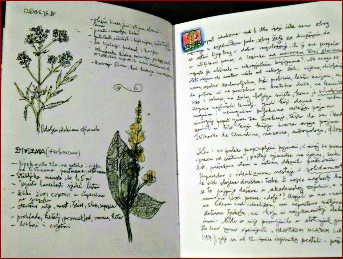 266611420_10216996762909957_3217584849776702383_n