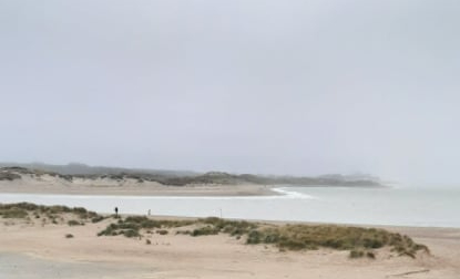 Božica Jelušić: PRIJATELJICA BRODSKOG 