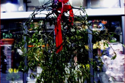 Božica Jelušić: BOŽIĆ NA&nbsp;PUTU