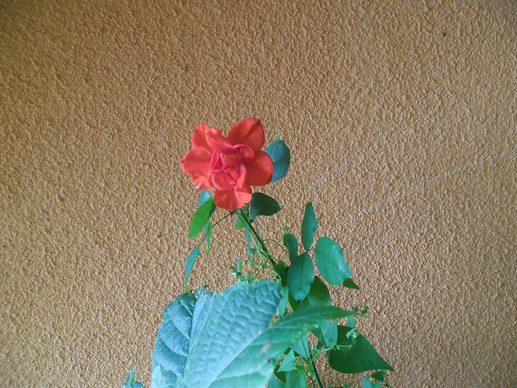 272743302_10217170514493638_2925590145551896161_n