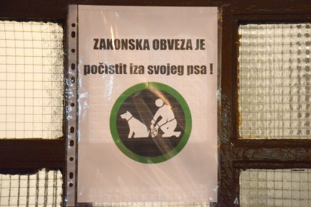 Slađana Bukovac: Plenkovićeva poza&nbsp;animoziteta