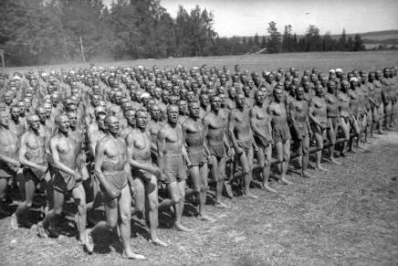 Srđan Dvornik: Rat pod kožom –&nbsp;militarizacija