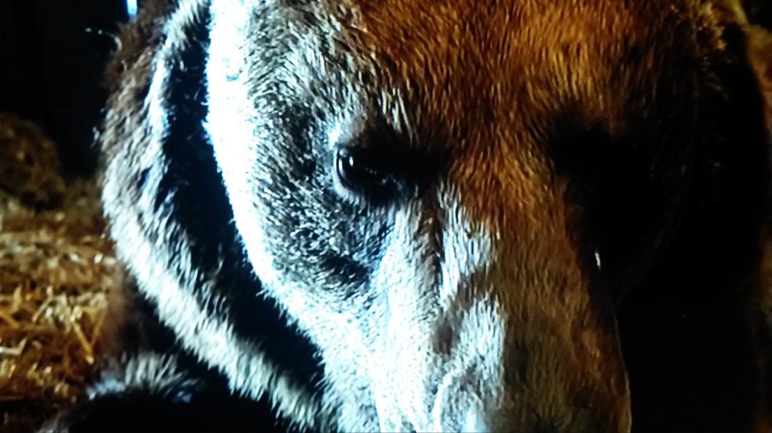 278764303_10221852830133751_1764409871026197185_n