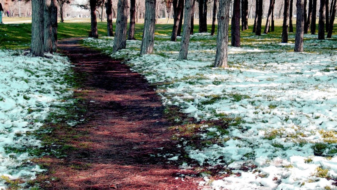 893904_10200457971866364_1906161948_o