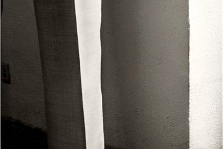 Božica Jelušić: Svjedok