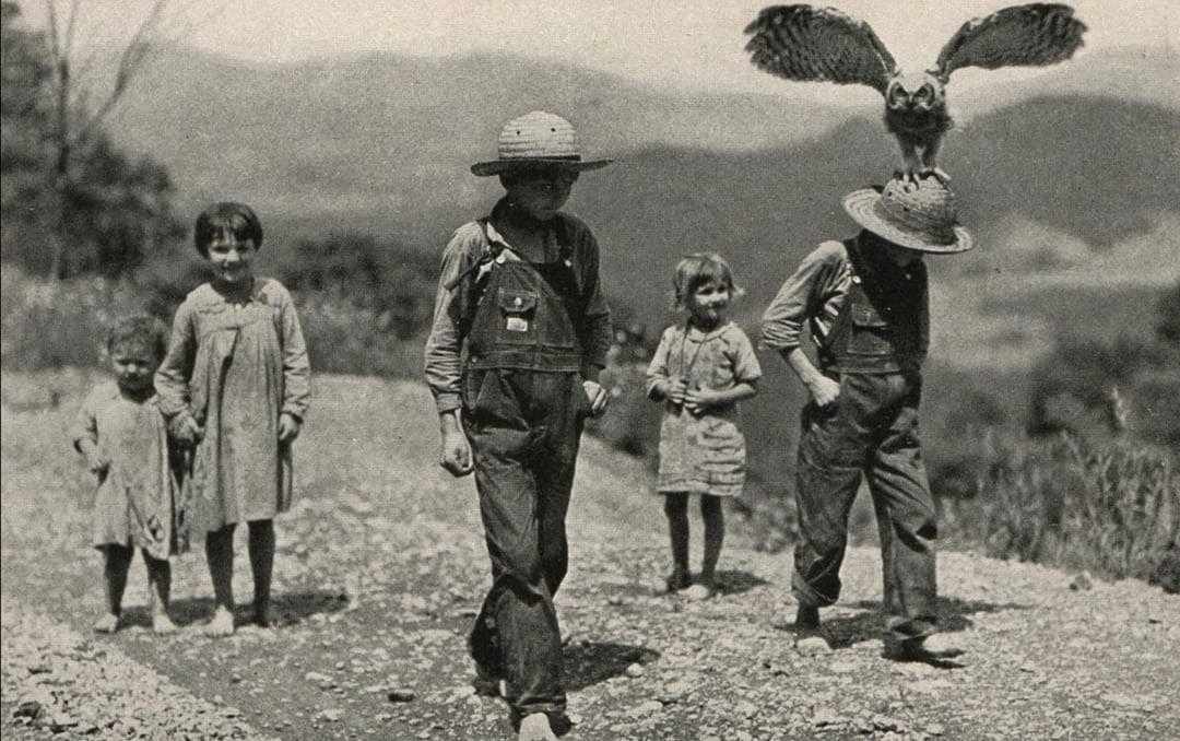 118382529_3387271861339327_7096804750619287117_o