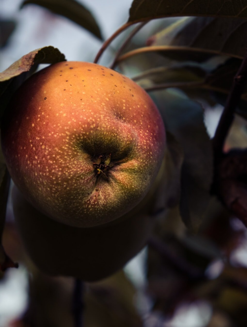 284707369_10217657049776716_6817042524353018966_n