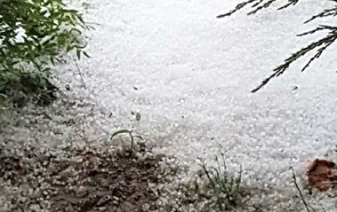 Darija Žilić: Nakon&nbsp;tuče