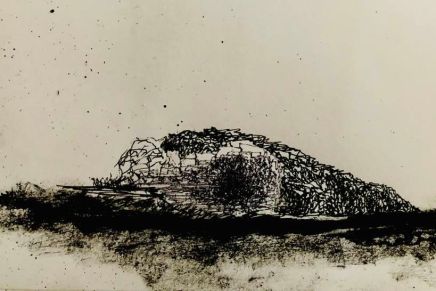 Stevo Basara: “Dijabolično oko halucinogenog toreadora”