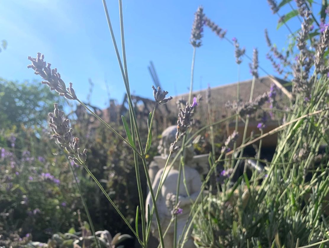 294343080_5520732284656525_3966306896646567237_n