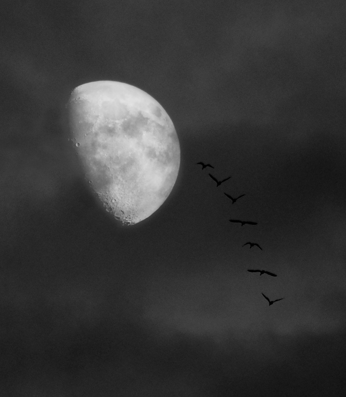 101541154_10221588025464498_8428256921873547264_o