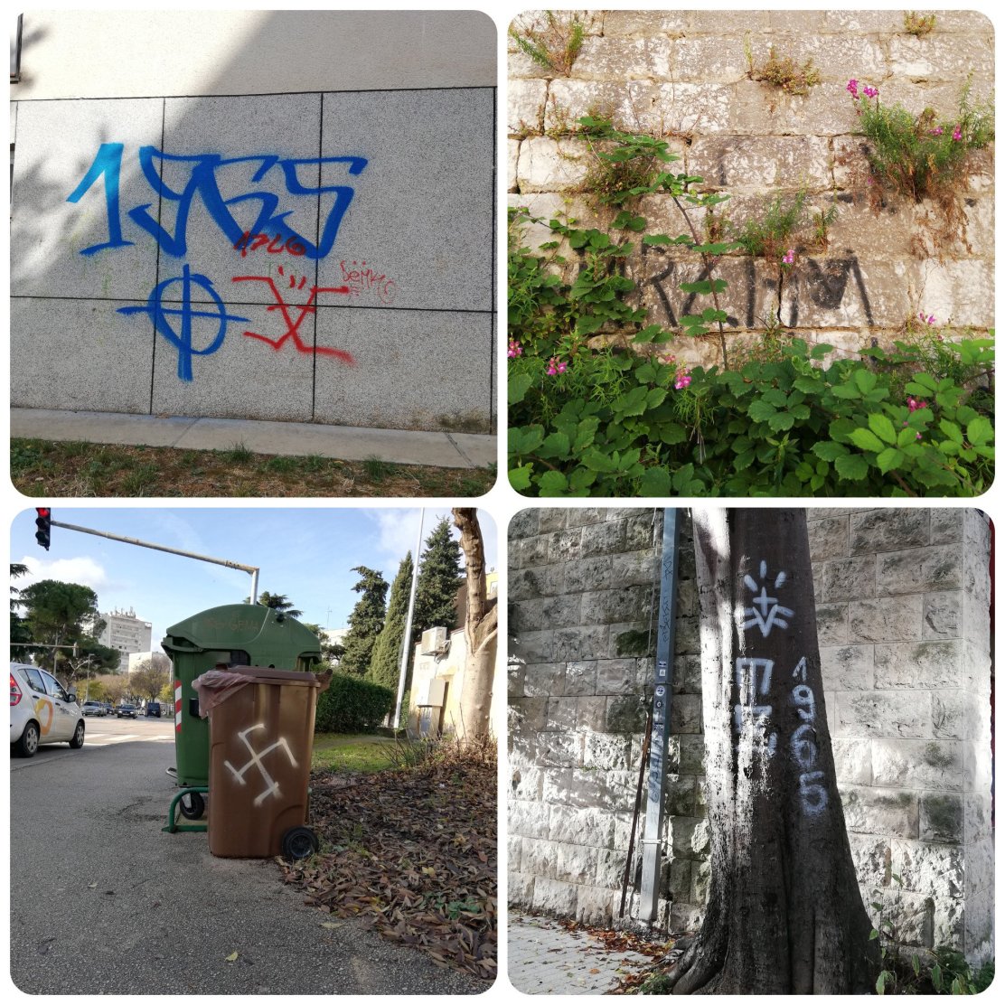 288964056_1473289119776725_928290282722097152_n