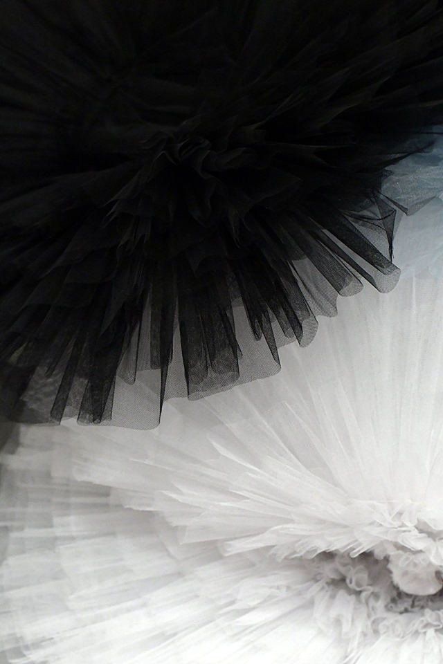 59835309_10217956232073612_8430580602259898368_n