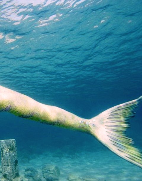 281602809_3358152054400196_459570525938654591_n