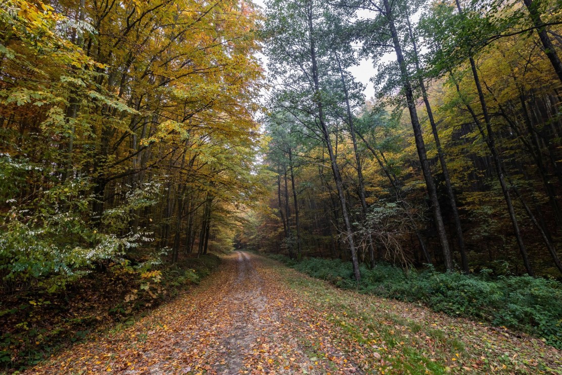 310464844_10218082715418091_4080232541342087176_n