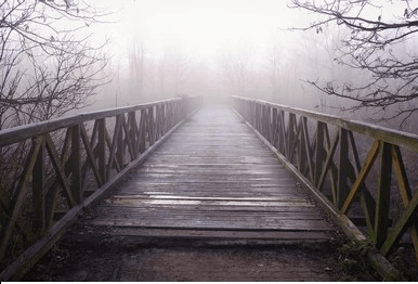foggy-old-rotten-wooden-bridge-260nw-1889234956