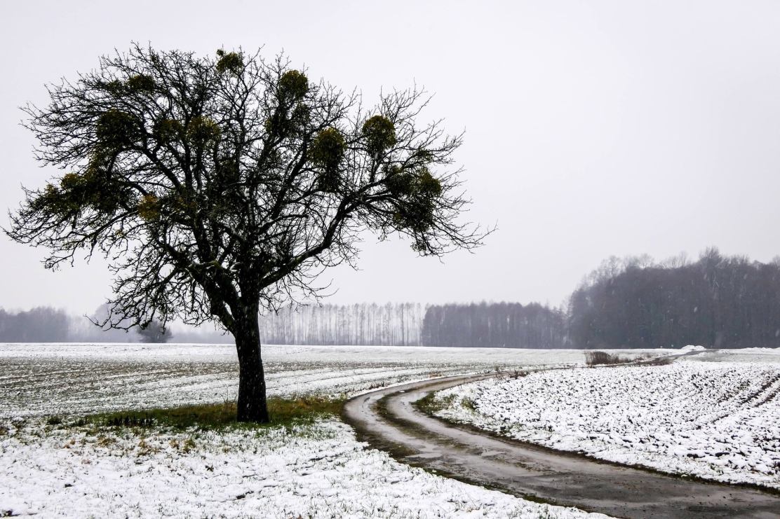 322693211_1201348084098922_1180065914073662494_n