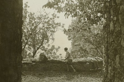 Hermann Hesse: MELANKOLIJI