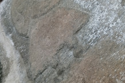 Biserka Goleš Glasnović: SVENTOVITOV KAMEN (ZAPISI S&nbsp;RUJANE)