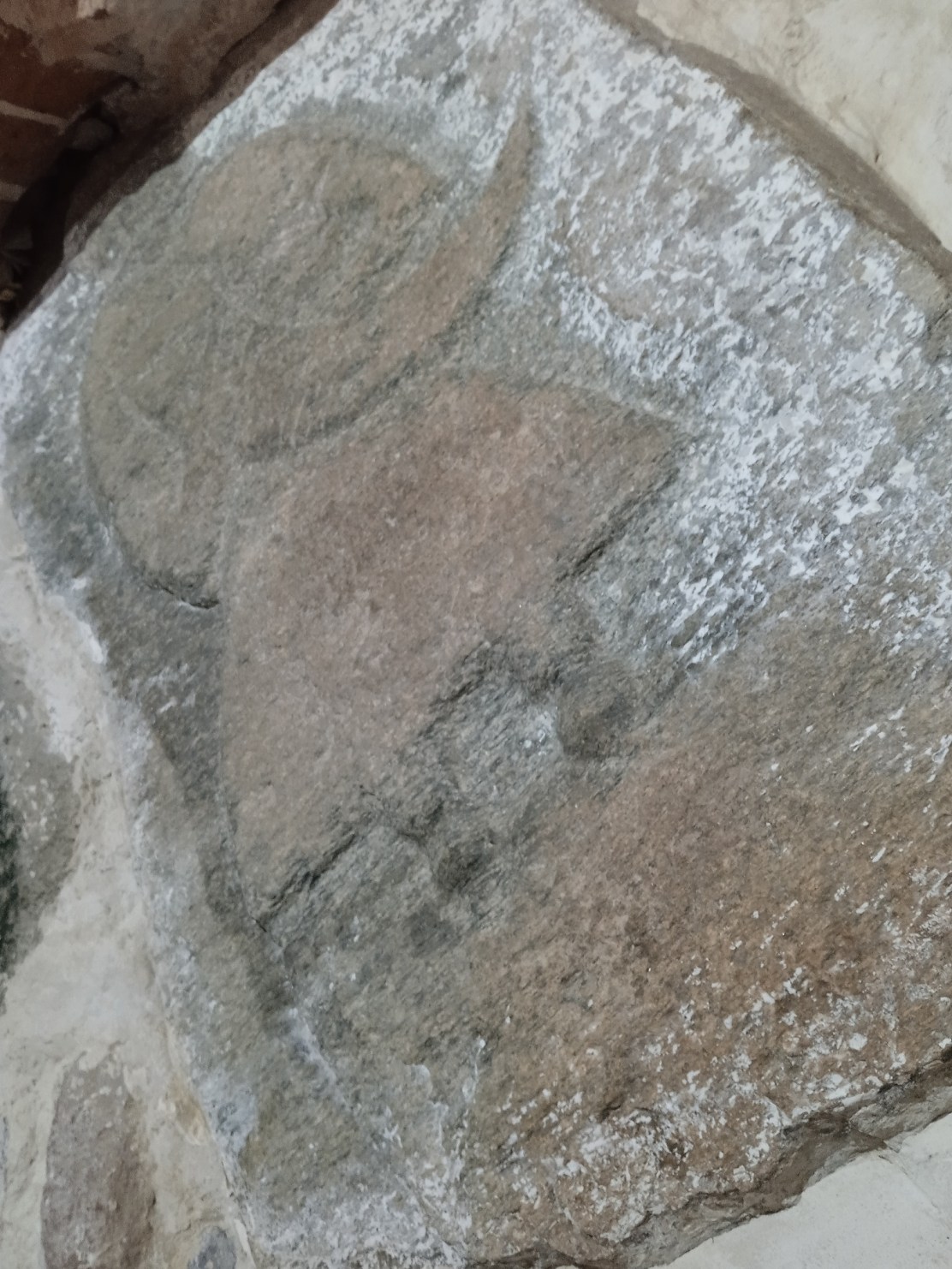 331398006_711565313786072_5127345245199812530_n