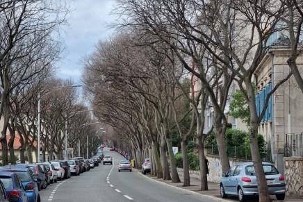 Ivan Molek: Duga i jedva vijugava Polića&nbsp;Kamova
