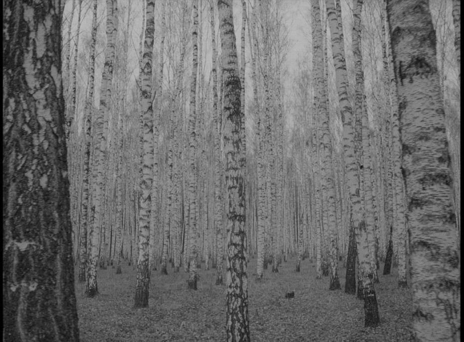 275123521_1780033982205682_2095327321856035363_n