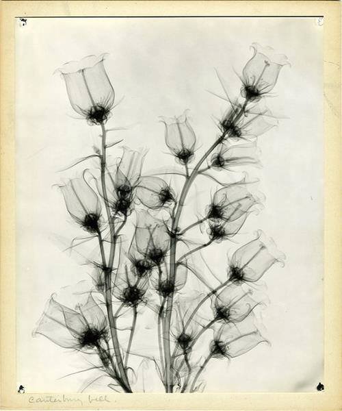 296189296_1884734828402263_6283647058166026591_n