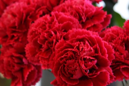 Edit Glavurtić: SRETAN VAM OSMI&nbsp;MART!