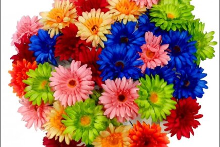 Naida Mujkić: Plastično cvijeće