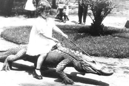 Sonja Krivokapić: Stvara li katolička crkva pedofile ili ih&nbsp;privlači?