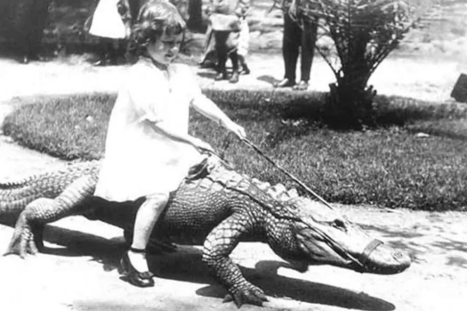 Sonja Krivokapić: Stvara li katolička crkva pedofile ili ih&nbsp;privlači?