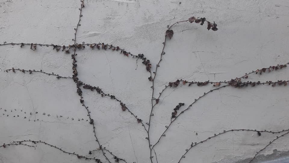 288322369_10227666193388622_7275320926208774437_n