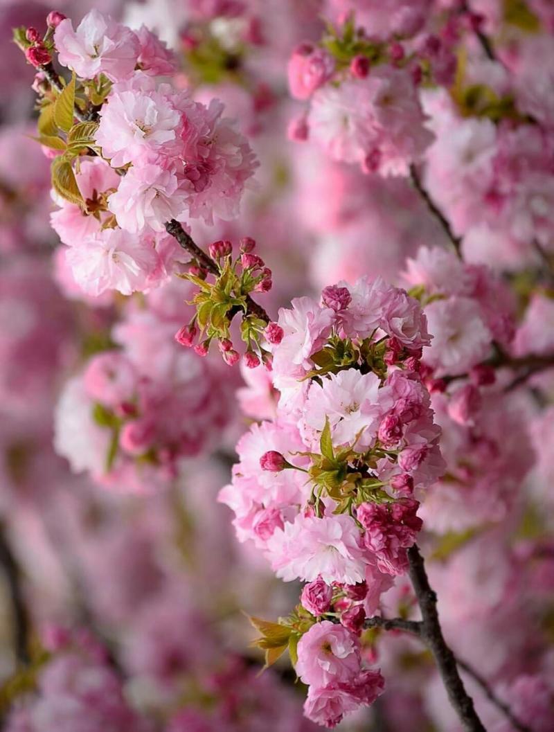 336648023_2171933546340952_883946855284189821_n