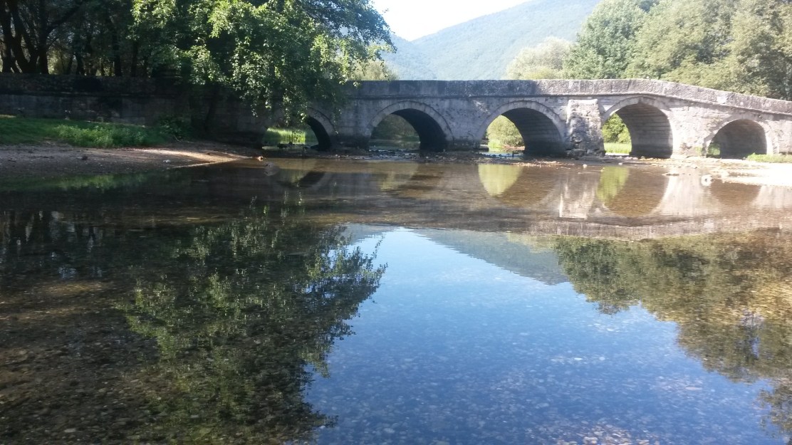 342184479_235479255693367_2792003242252142652_n