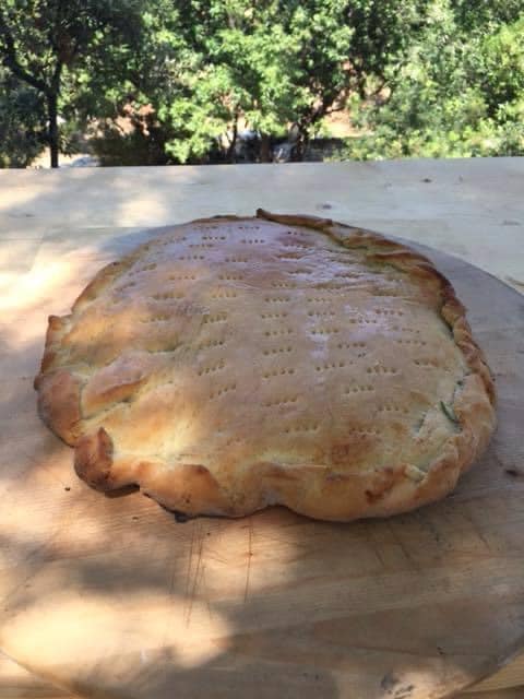 347232826_958219842264821_2507350508227324662_n