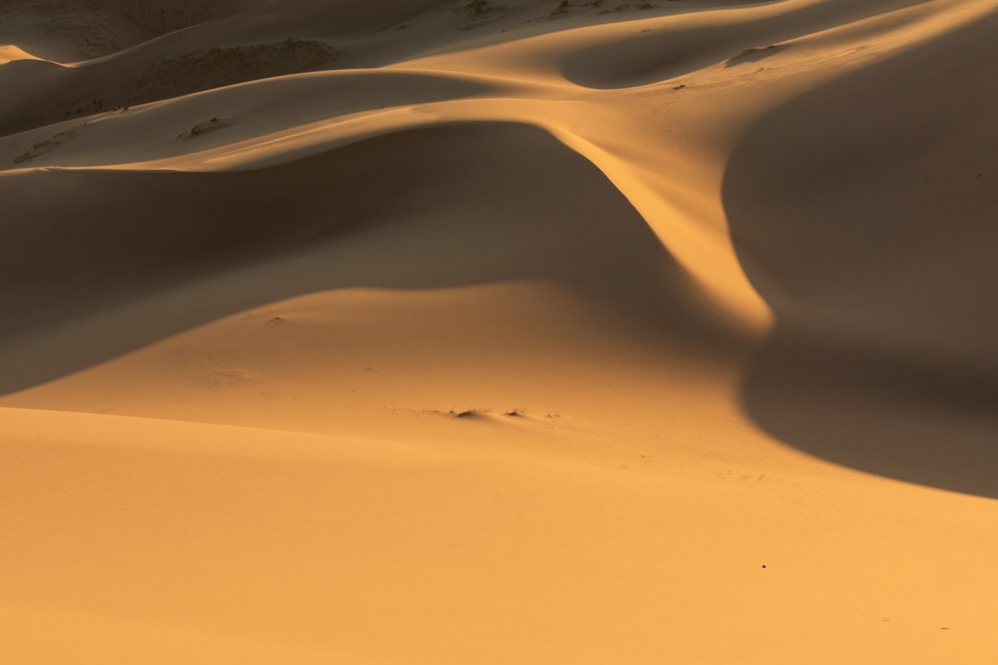 sand dunes