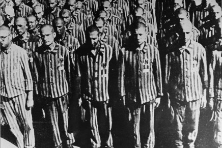 Ljiljana Zorčić: SKLOPIM OČI,&nbsp;LEVI