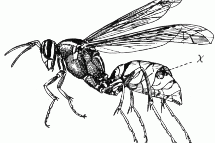 Gordana Samardžija: ONO ŠTO SMO&nbsp;MI