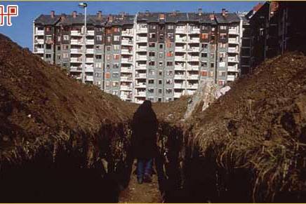 Naida Mujkić: Tek kad zasiječeš&nbsp;krompir