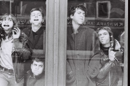 Ivan Molek: Termiti, WC školjka i perje po Kristalnoj&nbsp;dvorani