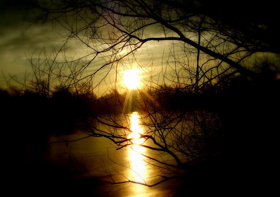 72254046_10219099177246527_518370477811433472_n