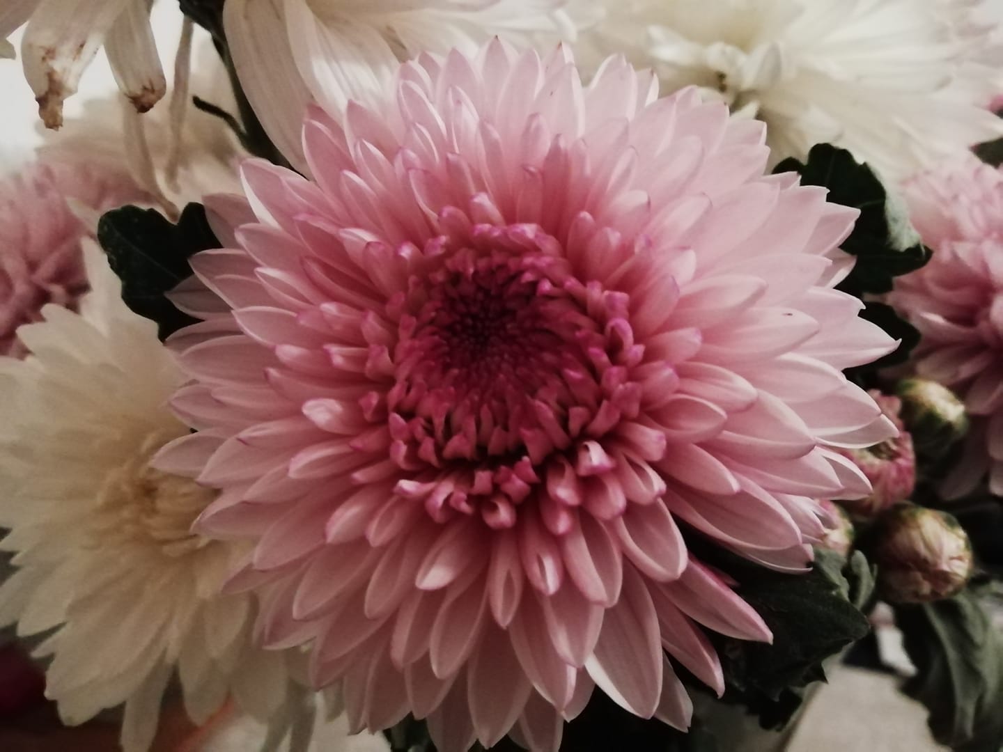 124438236_10222885741428265_8998114414663495643_o